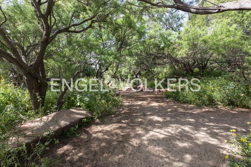 Foto 813c27bf-f4d6-4c6e-bdf4-6839f1532e6c. Casa amb calefacció aparcament piscina a Pinedo Valencia