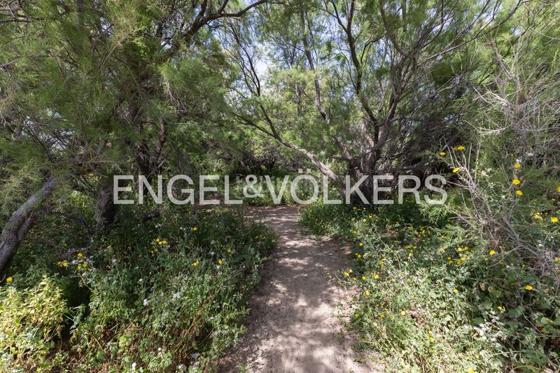 Foto ccc83667-d4e0-494f-b8bb-fc45a64a6e90. Casa amb calefacció aparcament piscina a Pinedo Valencia