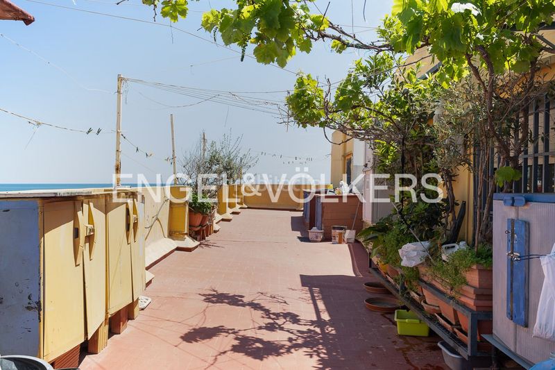 Foto ebb2f5af-9ad8-4c67-b833-381ba16ba701. Àtic amb calefacció a Malva Rosa Valencia