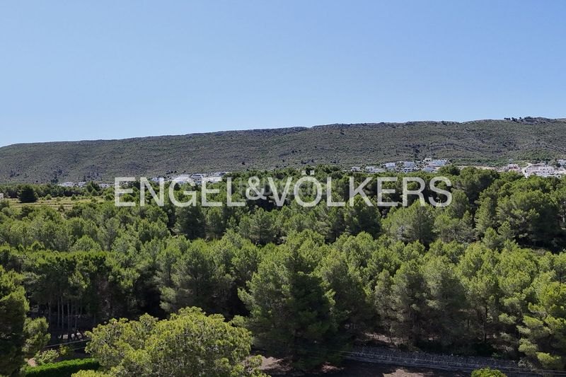 Foto c8781b52-72c9-492f-8d5e-81239a76ba2b. Terreny residencial a Partida Comunes-Adsubia Xàbia