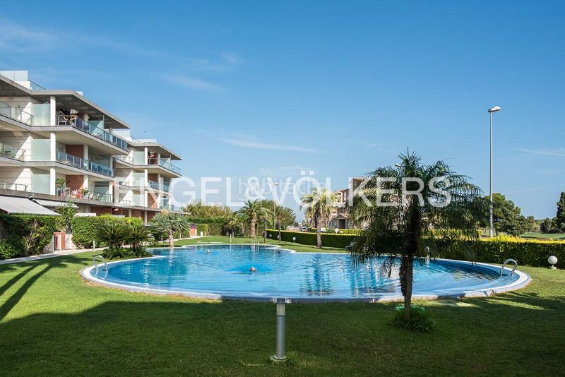 Foto a5cf0927-2881-4cc7-a52a-809ac0b963bb. Àtic amb calefacció aparcament piscina a Oliva nova Oliva