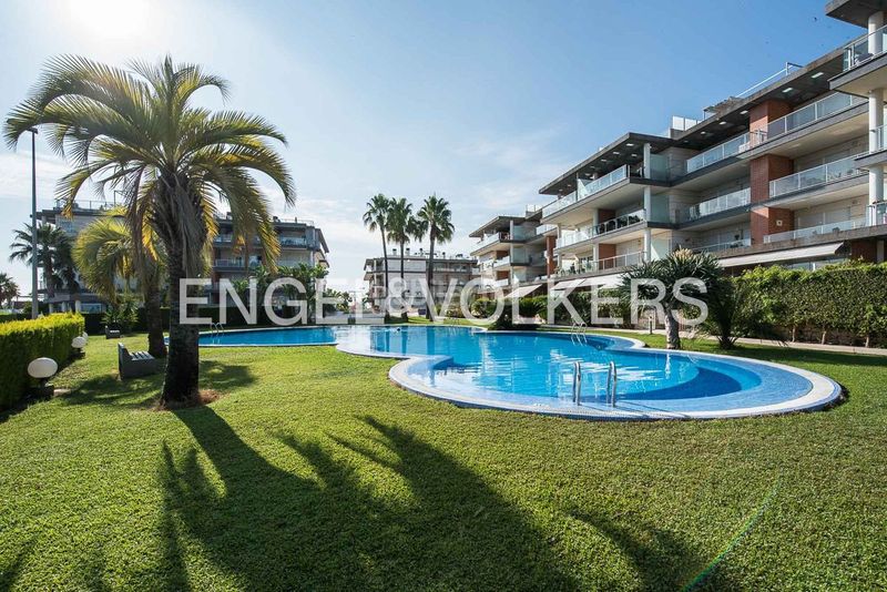 Foto c575e667-364d-4807-bc59-36863a6a3f5c. Àtic amb calefacció aparcament piscina a Oliva nova Oliva