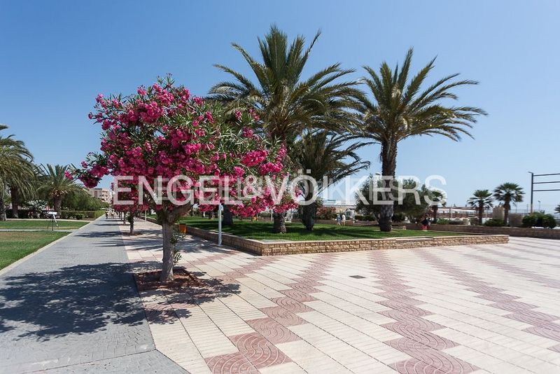 Foto 6938c463-9e71-4343-b9ee-99acd04a2d08. Alquiler casa excepcional residencia de lujo con piscina privada en Sagunt