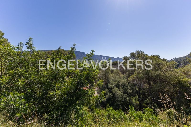 Foto 3ed423e1-e401-442e-95dd-4413bf8e3b87. Terreny residencial a Carcaixent
