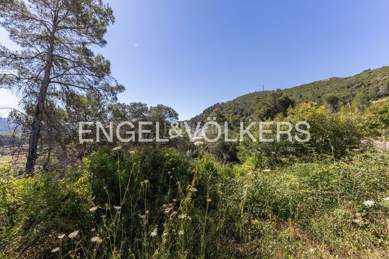 Foto 71a1ab33-7893-469c-8220-049d354ab363. Terreny residencial a Carcaixent