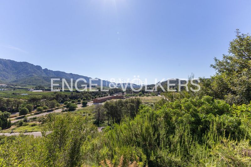 Foto c847f1a6-0d34-49cb-aa98-b17a609ec9ba. Terreny residencial a Carcaixent