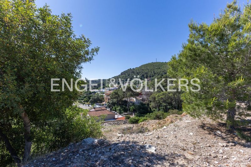 Foto f666af43-b4a1-49e1-9033-6cd2ba1ed0d5. Terreny residencial a Carcaixent