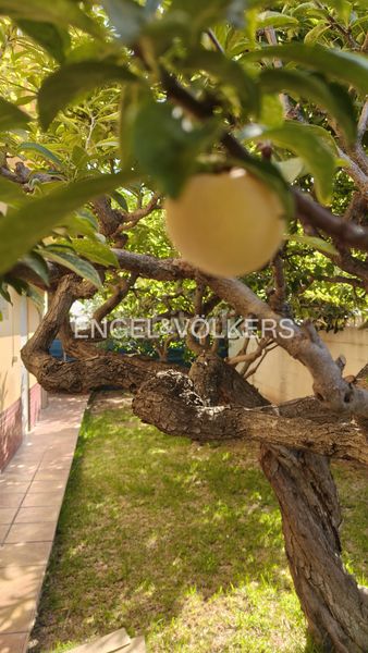 Foto a9353037-fb03-485c-a7d8-d0ba54035a59. Casa amb calefacció aparcament a Playa Burriana