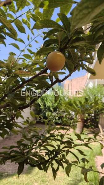 Foto f2b33b75-c303-4041-8993-4eece20162f0. Casa amb calefacció aparcament a Playa Burriana