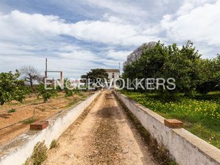 Bauernhof in Urbanitzacions i Pedanies Nord. Propiedad para reformar con naranjos jóvenes y pozo en alzira