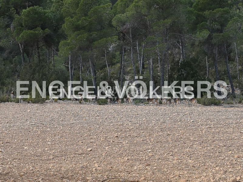 Foto b36fe528-ab00-4adf-8d39-e654f5c5e0af. Masia amb calefacció piscina a Ayora