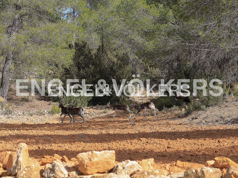 Foto c876c130-53d9-4149-8ee8-7eb6faa4fccf. Masia amb calefacció piscina a Ayora