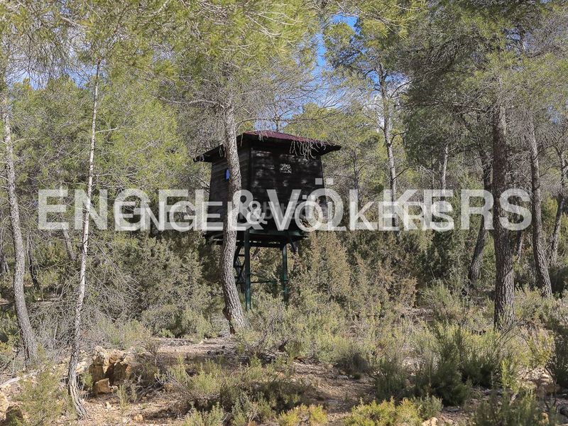 Foto f435d3b7-44d5-45b4-b3ae-335c8d19bf90. Masia amb calefacció piscina a Ayora