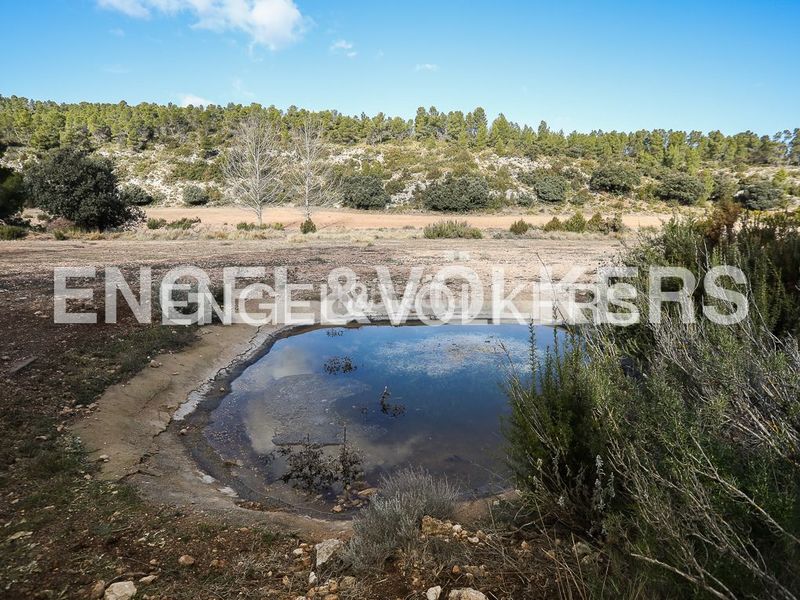 Foto fe852123-caa5-4de0-be5c-850c2c81aef9. Masia amb calefacció piscina a Ayora