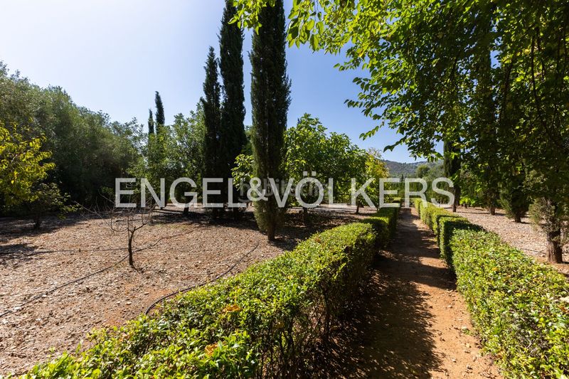 Foto 17afba41-ea86-48ef-bd65-dd99fcb95bc3. Casa amb calefacció aparcament piscina a Centro Pedreguer