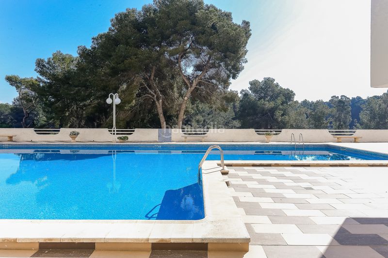 Foto 6d97cf58-4e50-40e3-a39a-f50936eb2618. Pis amb calefacció aparcament piscina a El Saler Valencia