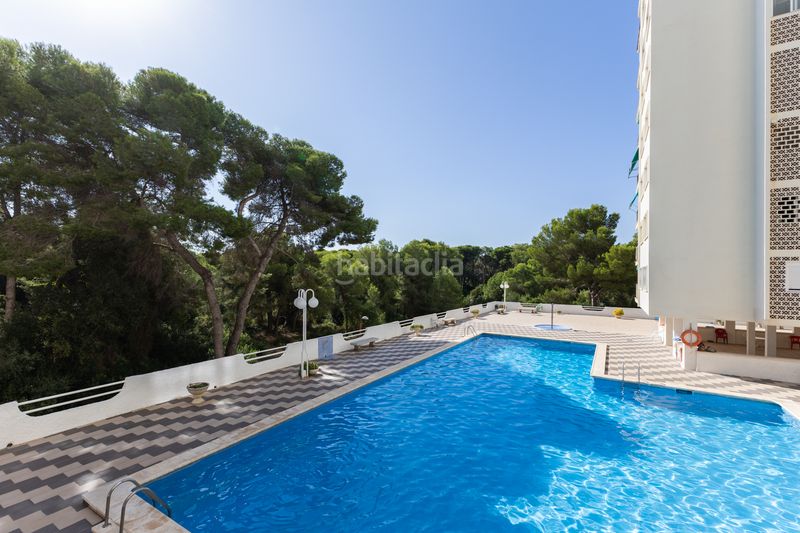 Foto d9903914-7675-43db-b132-9189ff370a39. Pis amb calefacció aparcament piscina a El Saler Valencia
