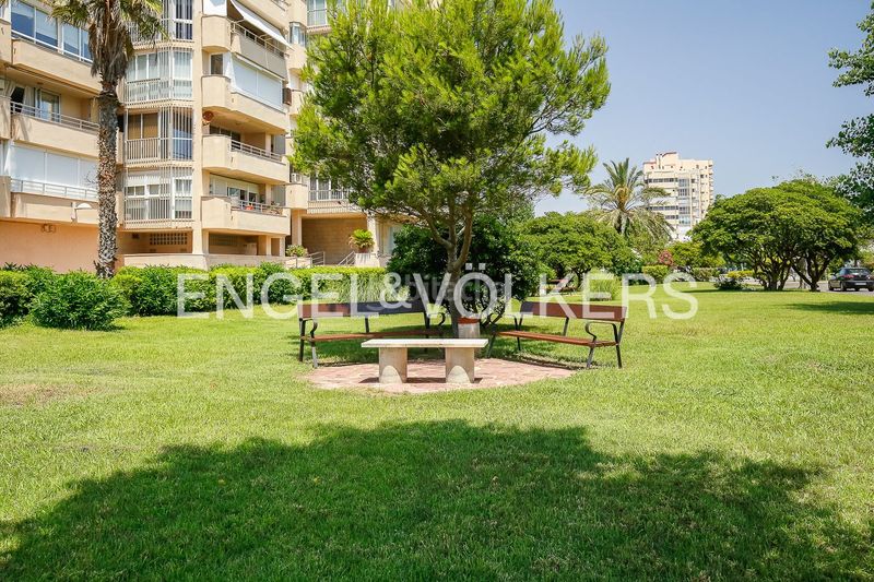 Foto 123b9527-dd3d-4dc7-80b8-a023e47126cf. Pis amb calefacció piscina a El Saler Valencia