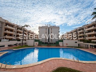 Lloguer Pis  Avinguda de la mar. Vivienda de temporada en alquiler en almenara playa