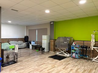 Trasp�s Local Comercial en Barrocanes. Se traapasa peluquer�a canina