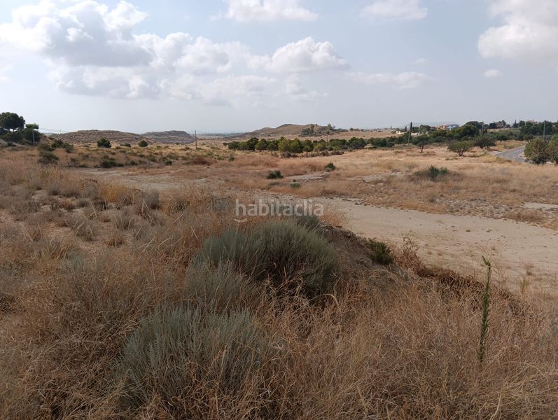 Foto 42acf3fa-968b-4771-bae4-d87597cdbebb. Finca rústica se vende parcela en Tavernes Blanques