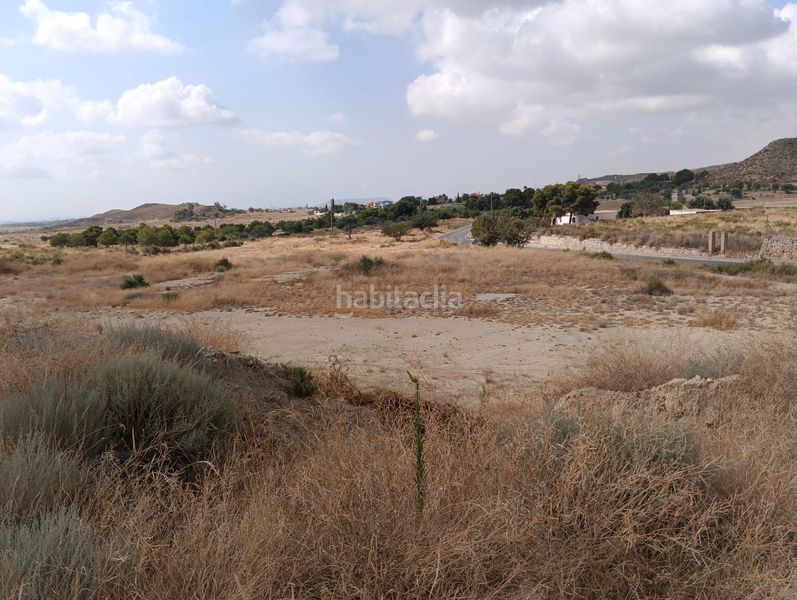 Foto 50037ca7-abd2-4def-9c2d-e6342f13a9ba. Finca rústica se vende parcela en Tavernes Blanques