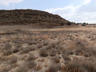 Finca rústica a Avinguda de les Corts Valencianes