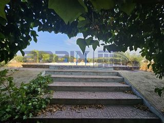 Masia  N/a. Casa rural en venta en  argamasilla de calatrava, ciudad real