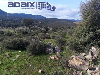 Terreny residencial a N/a. Finca rústica en venta en  puertollano, ciudad real