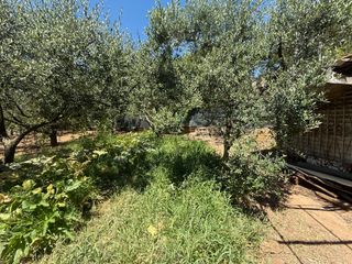 Finca rústica  El camí de vila-seca 28. Parcela en vila-seca