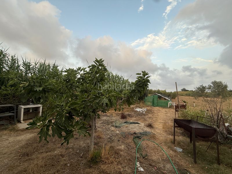 Foto 13a86ebf-ddb5-4e67-8bc1-4a92a6e9ea84. Finca rústica a n/a a Migjorn Reus