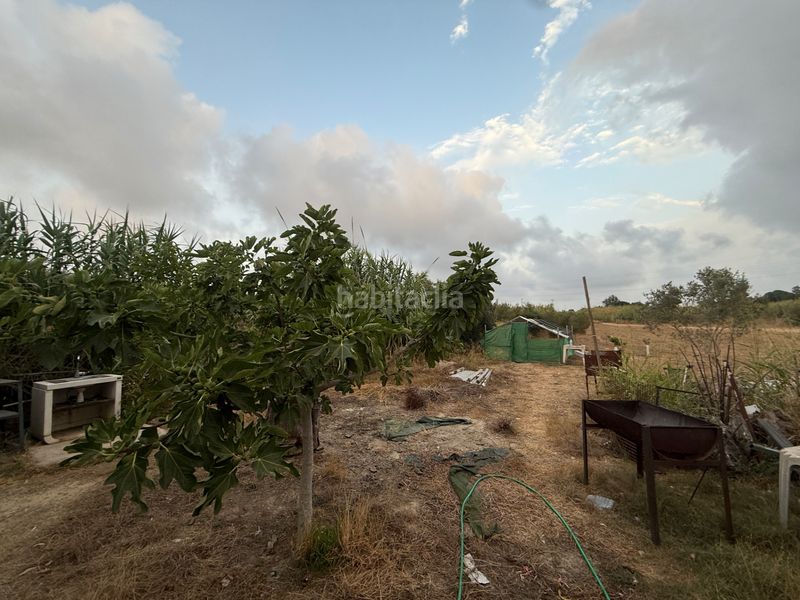 Foto f5f8c368-267b-4b66-8af8-c611f34822fe. Finca rústica a n/a a Migjorn Reus