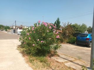 Terreno residencial  Calle río vero. Se vende parcela urbanizable en calalberche