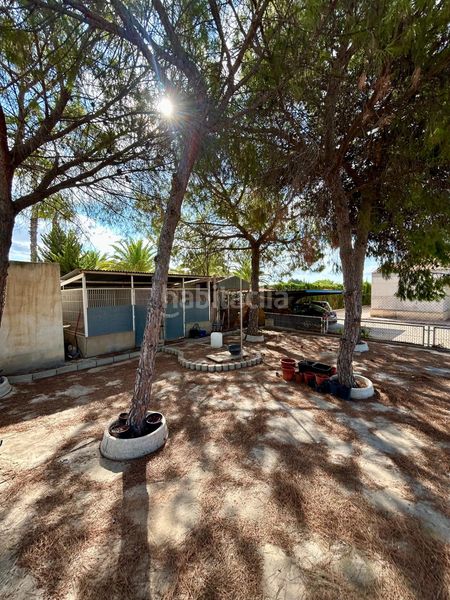 Foto 4748de6f-43b4-40c3-80d6-b614d865d1a8. Chalet  independiente de lujo en La Algoda - Matola - Llano de San José Elche / Elx