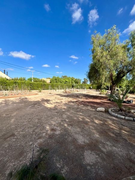 Foto 5f3ef123-5fa2-4df8-b5c3-9d511140cd5e. Chalet  independiente de lujo en La Algoda - Matola - Llano de San José Elche / Elx