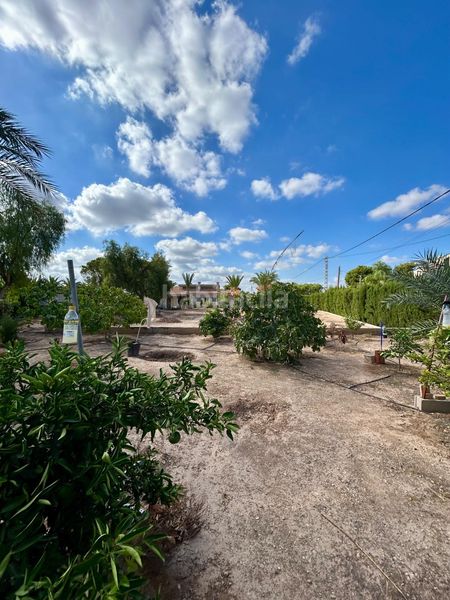 Foto 90537efe-4ef8-43d0-80ee-034645235706. Chalet  independiente de lujo en La Algoda - Matola - Llano de San José Elche / Elx