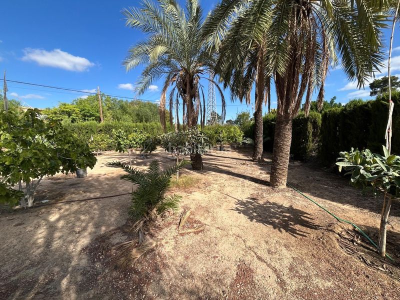 Foto ca39f02a-730b-40aa-9dd4-00696e93c929. Chalet  independiente de lujo en La Algoda - Matola - Llano de San José Elche / Elx