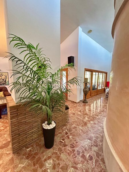 Foto cfb389a3-fb54-41c2-9fee-295168912285. Chalet  independiente de lujo en La Algoda - Matola - Llano de San José Elche / Elx
