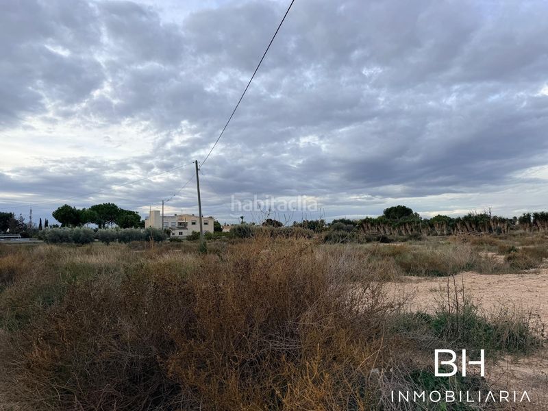 Foto 11a886eb-5cb7-4a1e-a076-706e94893028. Finca rústica a Perleta - Maitino Elche / Elx