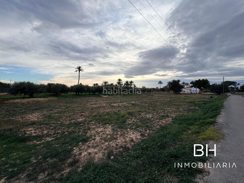 Foto 43a4a896-a27c-4334-963d-d82a8dcc7ca0. Finca rústica a Perleta - Maitino Elche / Elx