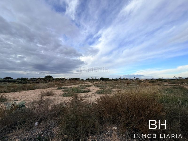 Foto 58ae6b2b-7175-4a66-94ce-b3131a5fca1d. Finca rústica a Perleta - Maitino Elche / Elx