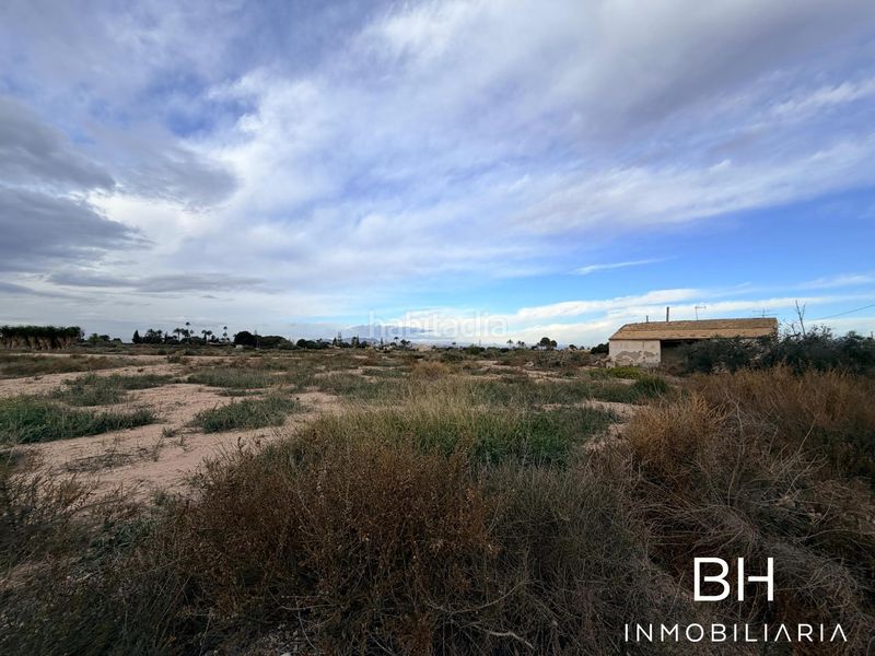 Foto b78fe86f-67ba-47f8-bcd9-d3ff40740ade. Finca rústica a Perleta - Maitino Elche / Elx