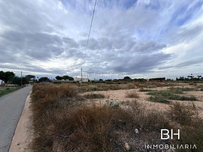 Foto dd743862-0847-465b-8a53-4c95133e3a3b. Finca rústica a Perleta - Maitino Elche / Elx