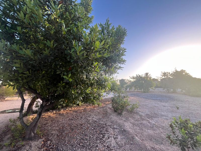 Foto d024d078-3292-43b8-8314-7a9ef884194f. Xalet amb calefacció a Jubalcoi Elche / Elx