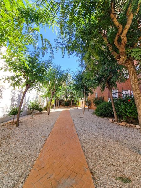 Foto 3bed504e-9e6e-4d03-a5e0-53d4c34544e9. Casa amb calefacció aparcament piscina a Ciutat Jardí - Torreta Verdí Elche / Elx