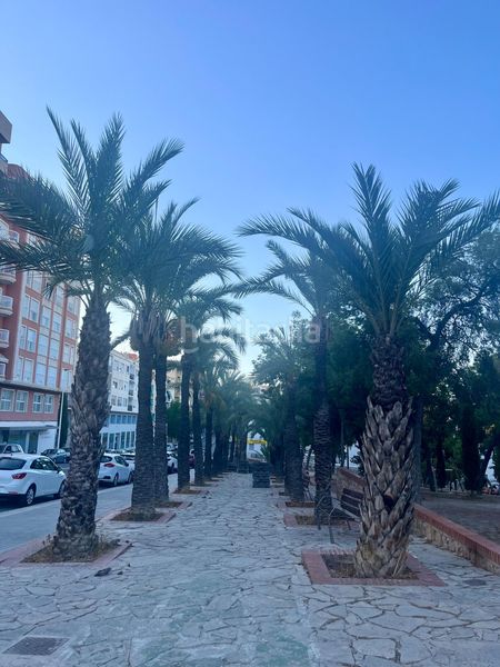 Foto 92a45f71-393c-429b-b80f-27c5a517d46e. Pis a Camí dels Magros - Casablanca Elche / Elx