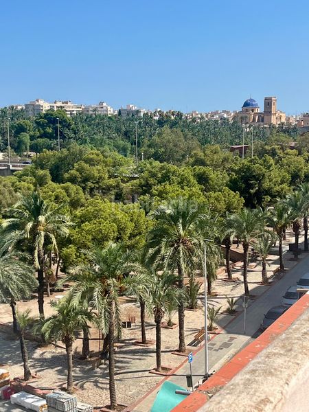 Foto 961be8c9-f243-4633-8b88-b3f61a6d43ac. Pis a Camí dels Magros - Casablanca Elche / Elx