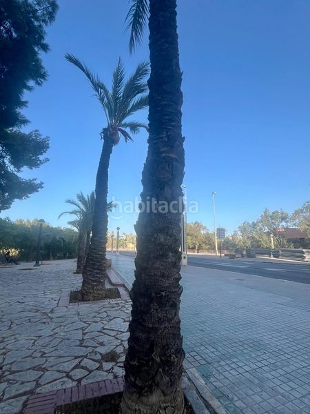 Foto add6e3aa-744d-4f53-bc1a-f239b7119708. Pis a Camí dels Magros - Casablanca Elche / Elx