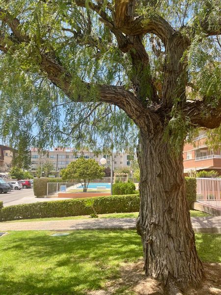 Foto f46a772f-7b3d-4561-99bb-1aa9cef1ef4a. Casa adossada amb calefacció aparcament piscina a Elche / Elx