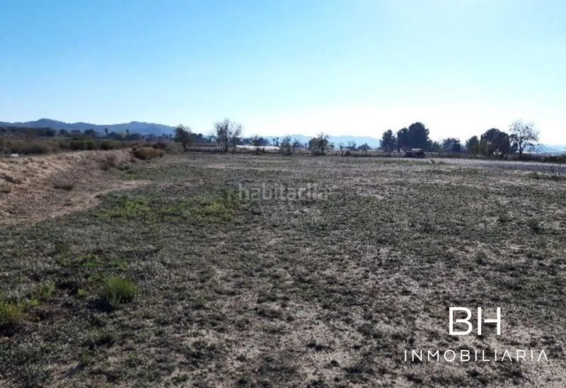 Foto a21f3559-e7c2-45c4-970e-20f858a36e4f. Finca rústica a Monforte del Cid